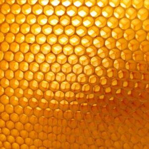 Węza pszczela do ramki wielkopolskiej